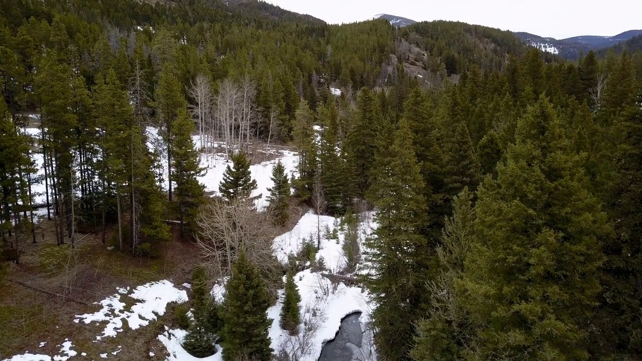 在蒙大拿州比林斯，无人机在自然景观上对着天空，在森林中的雪中的绿色树木的航拍镜头视频素材