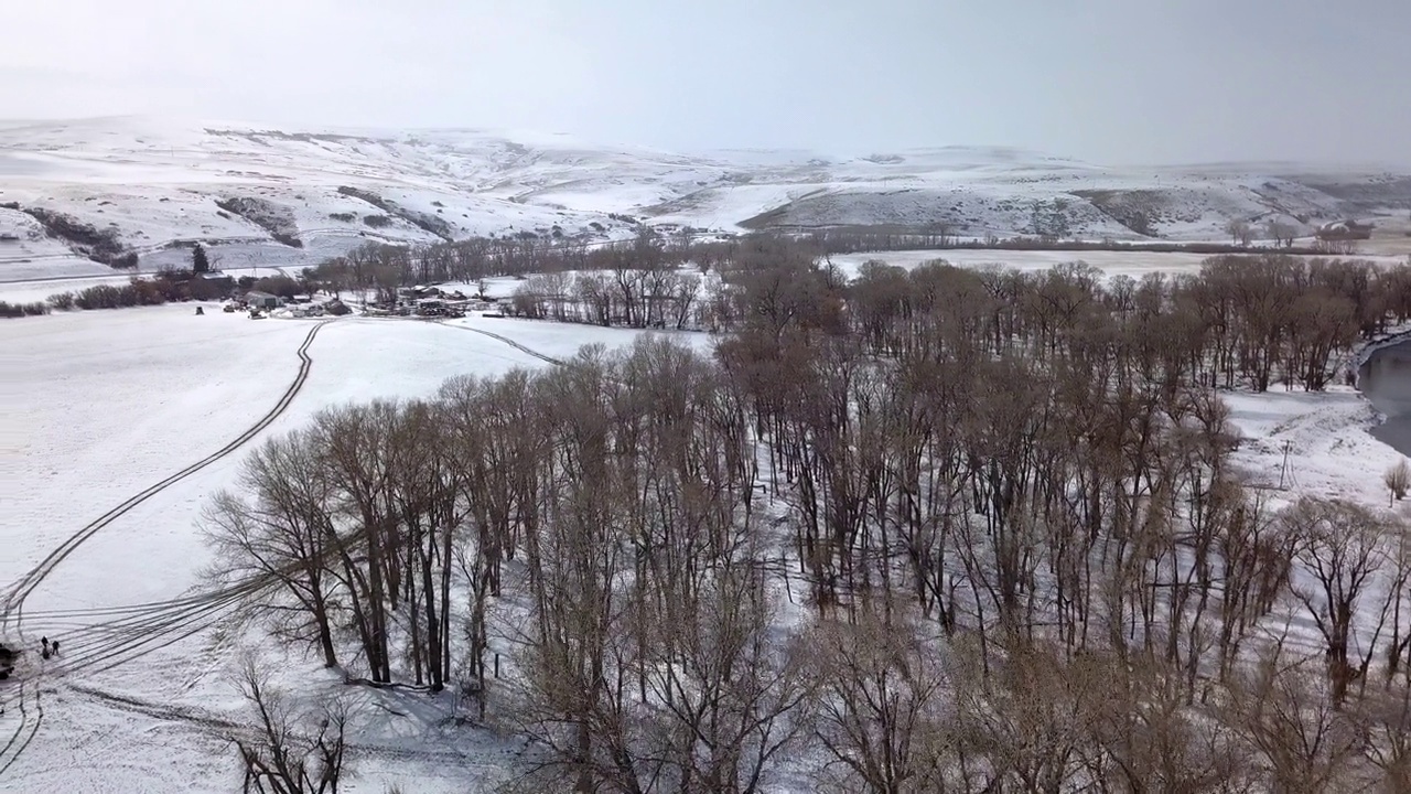 空拍的光秃秃的树附近的房屋和山对天空，无人机飞越雪景-比林斯，蒙大拿州视频素材