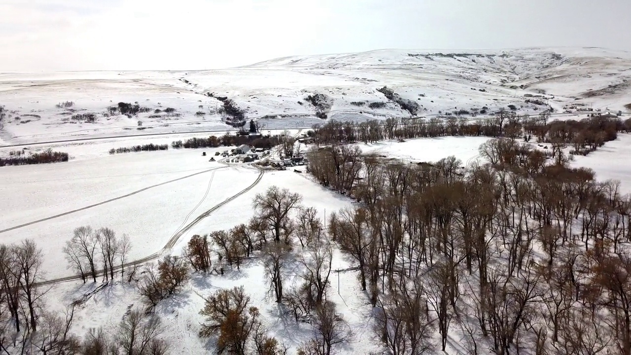 空中平移拍摄的光秃秃的树木在河附近的雪对天空，无人机飞越景观-比林斯，蒙大拿州视频素材