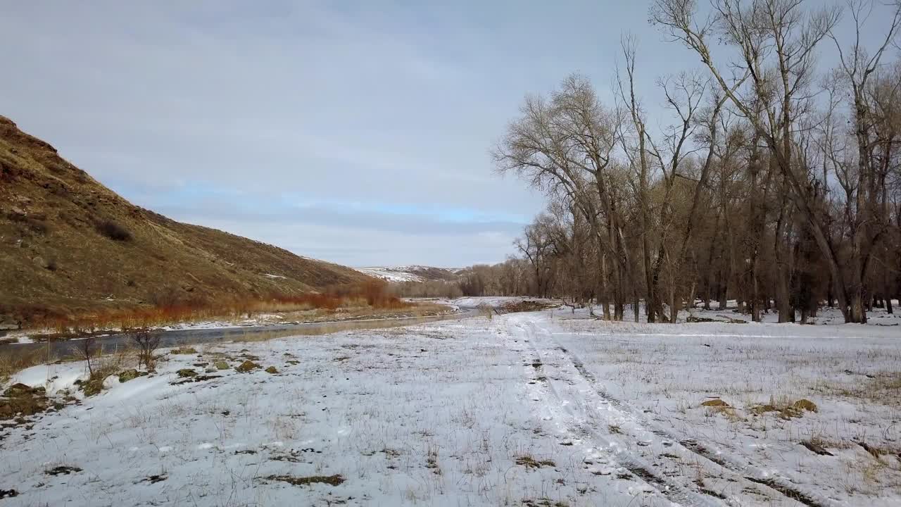 航拍:无人机在光秃秃的树木和河边的雪地上的轮胎痕迹上向前飞行，蒙大拿州比林斯视频素材