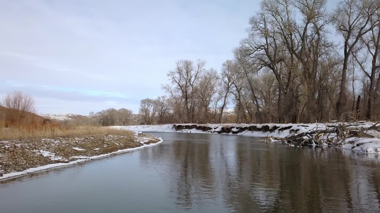 航拍:在蒙大拿的比林斯，无人机在光秃秃的树木和雪山附近的河流上向前飞行视频素材