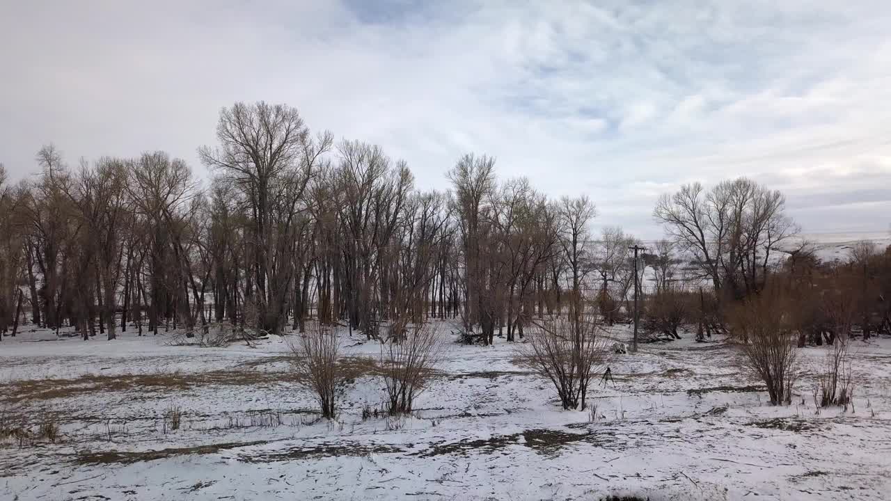 空中拍摄的光秃秃的树在雪地上对多云的天空，无人机上升向前森林在冬季-比林斯，蒙大拿州视频素材