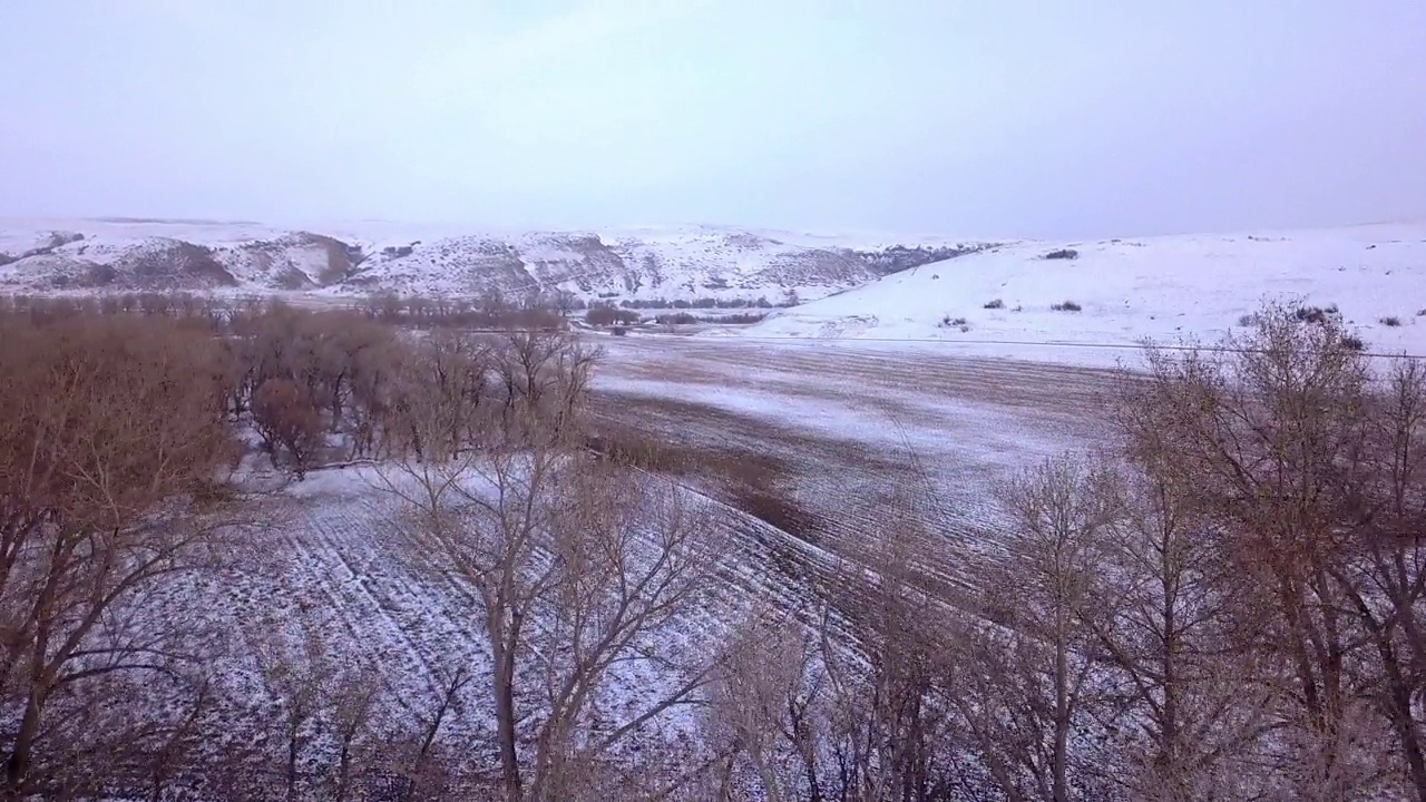 空中拍摄的光秃秃的树木附近的雪山在日落，无人机飞过森林对天空-比林斯，蒙大拿州视频素材