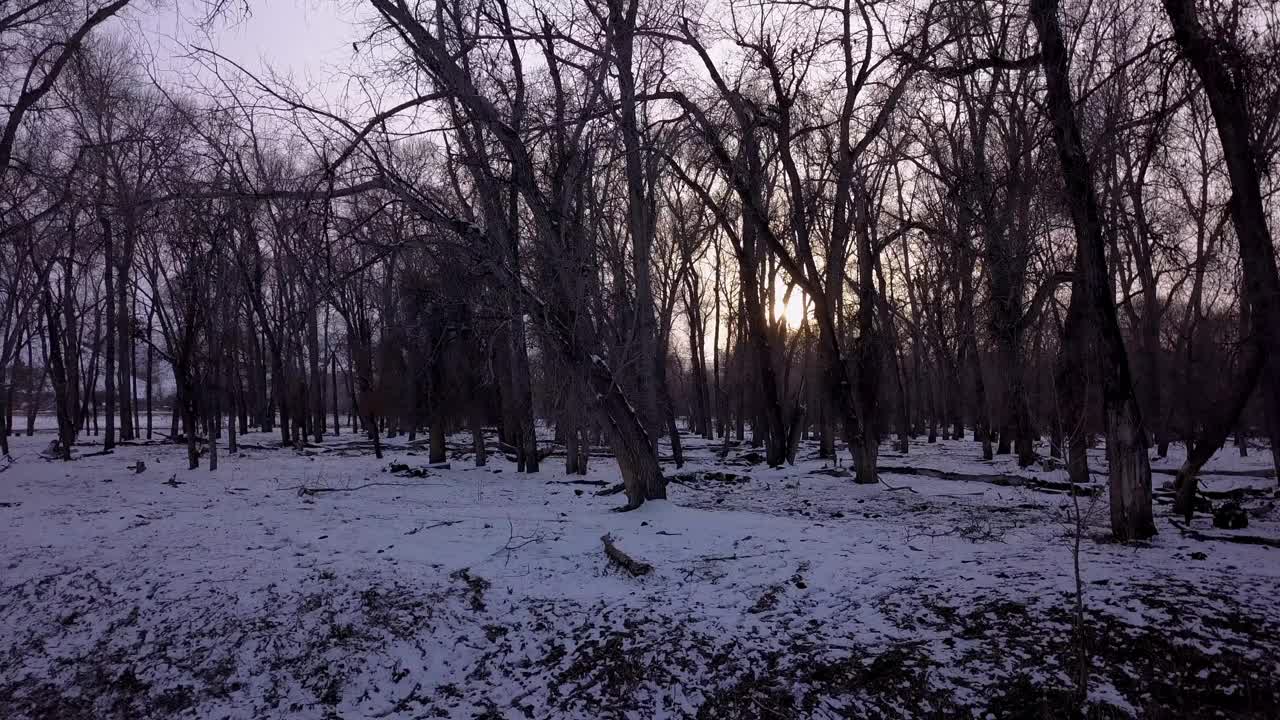 空中拍摄的光秃秃的树在山附近的雪对天空，无人机上升在森林在日落-比林斯，蒙大拿州视频素材