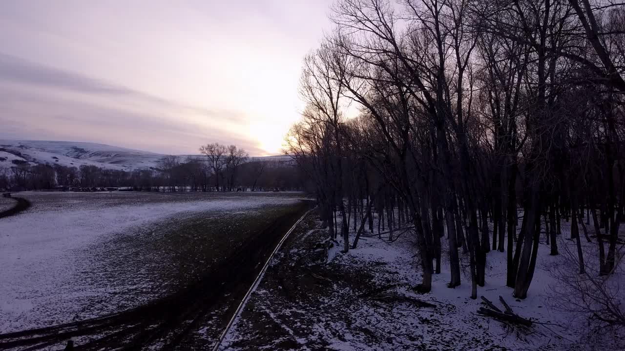 空中拍摄的白雪皑皑的山脉附近的光秃秃的树对着天空，无人机上升在景观在日落-比林斯，蒙大拿州视频素材