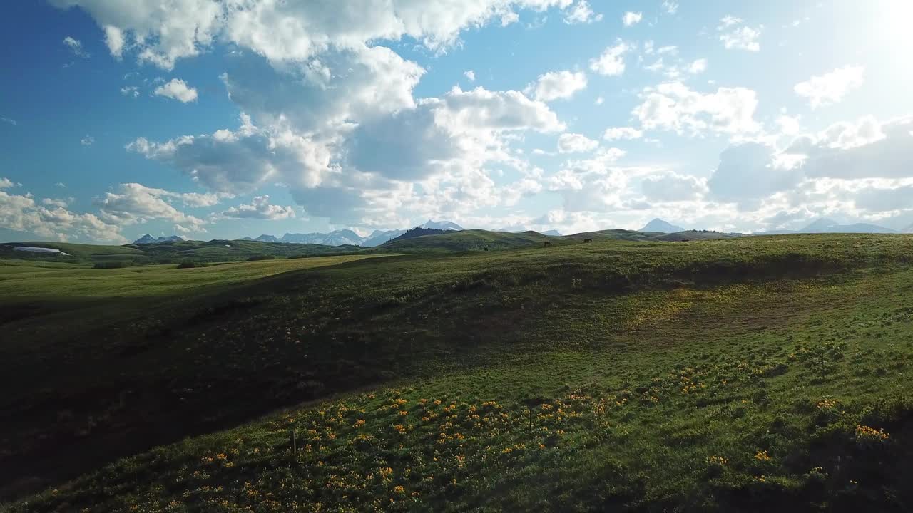 在晴朗的日子里，无人机在蒙大拿州比林斯的草地上飞行，在多云的天空下航拍美丽的风景视频素材