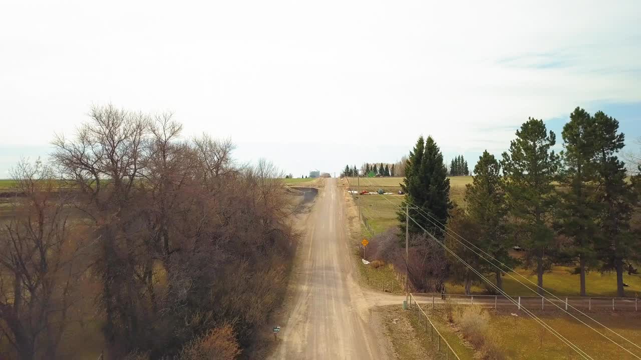 空无一人的乡村道路上的树木航拍后仰，无人机逆天飞过比林斯，蒙大拿州视频素材