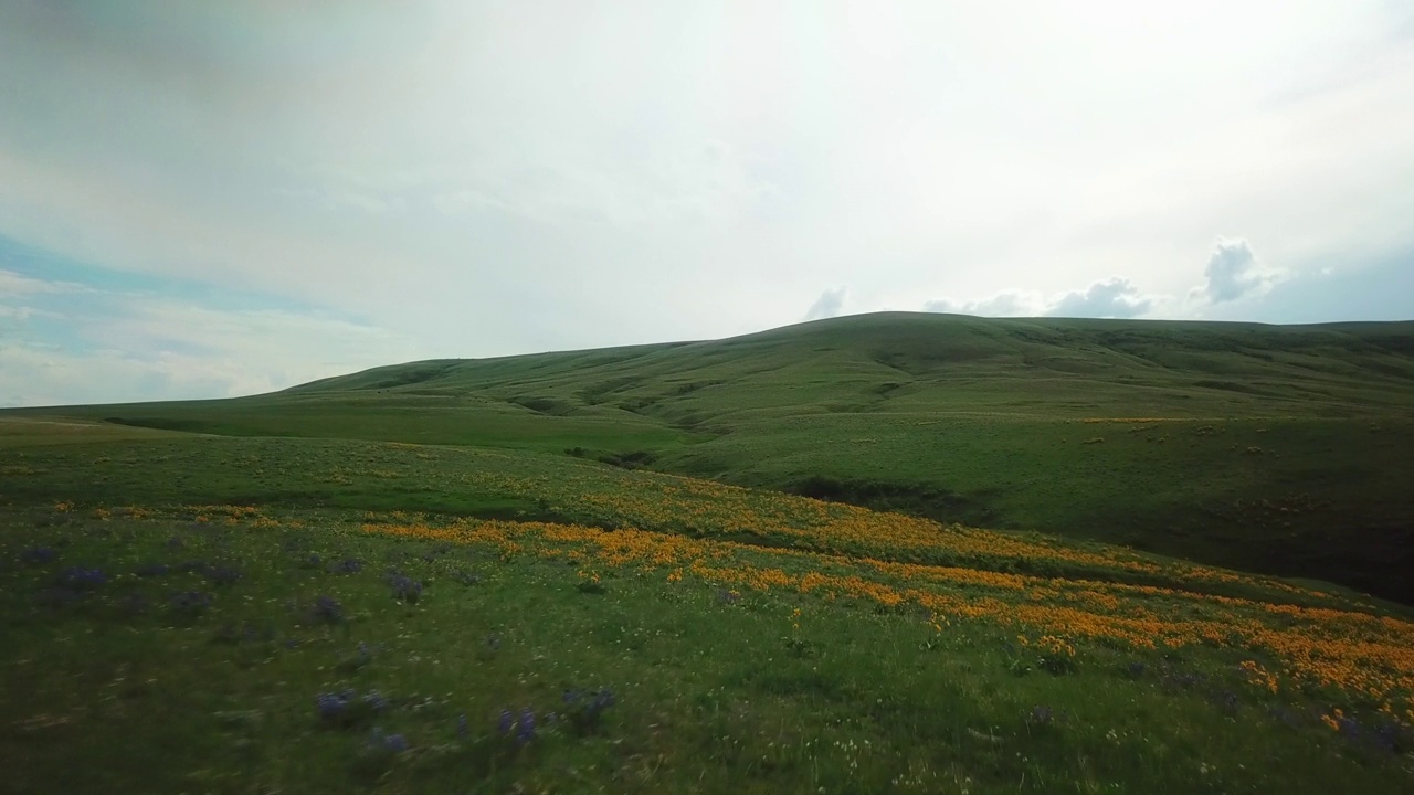 空中拍摄的风景优美的绿色景观对天空，无人机飞越草地-比林斯，蒙大拿州视频素材