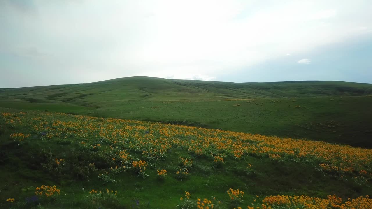 空中拍摄的风景对天空，无人机飞越山-比林斯，蒙大拿州视频素材