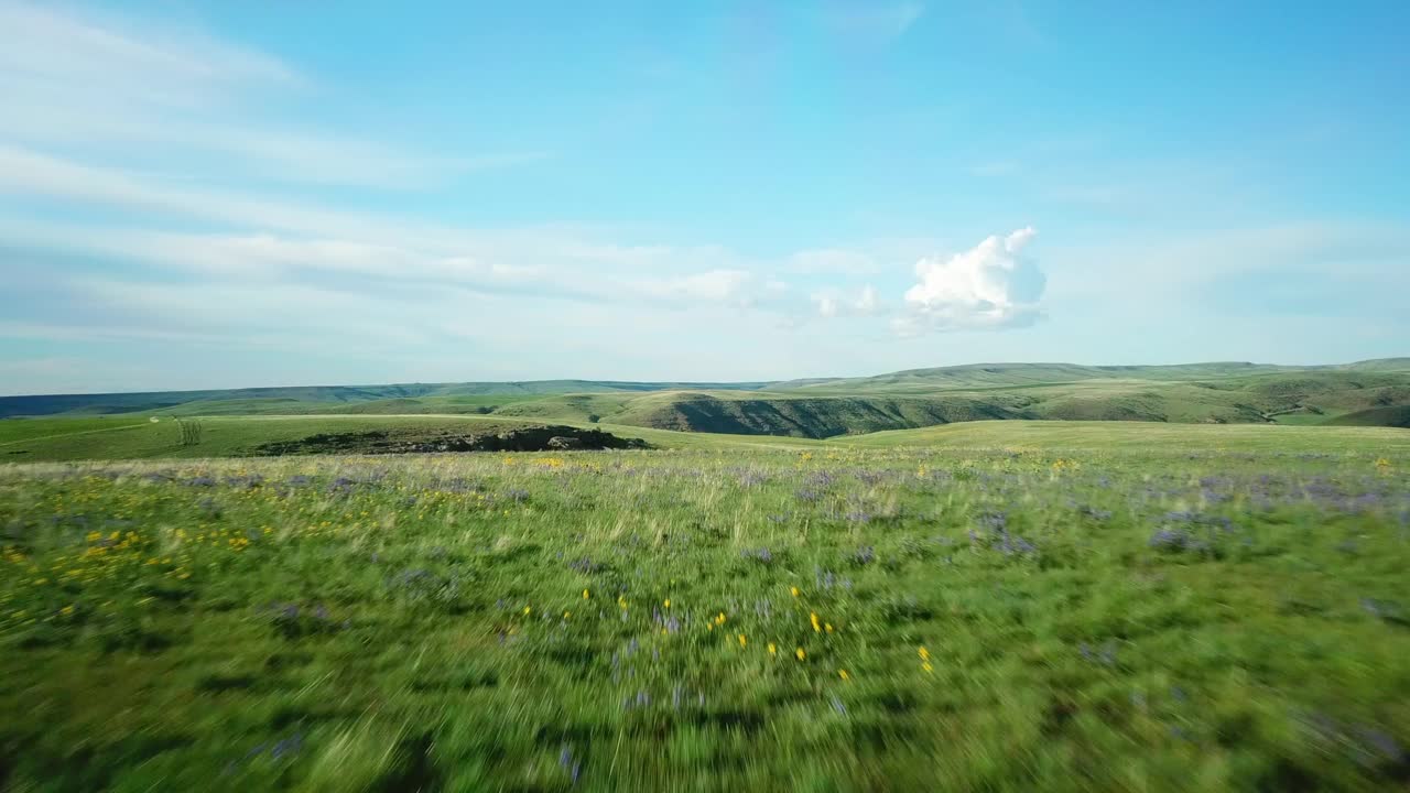 空中拍摄的田园诗般的草地对着天空，无人机向前飞行在景观-比林斯，蒙大拿州视频素材