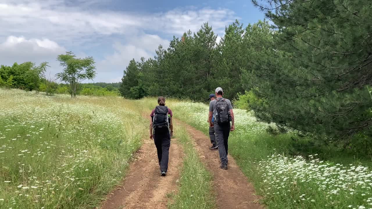 一群徒步旅行者在白色野花环绕的小路上——保加利亚，欧洲视频素材