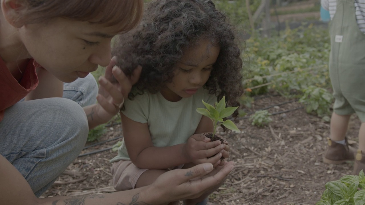 妈妈和她的小女儿在自家花园里种下一棵幼苗视频素材