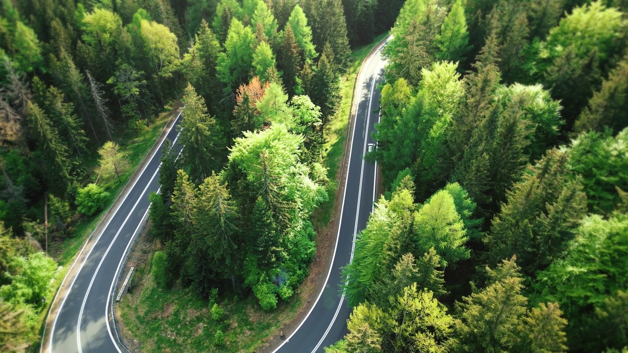 鸟瞰针叶林中风景优美的山路。汽车沿着高山地形的蜿蜒道路行驶。在一个阳光明媚的日子里，在夕阳的照耀下，风景优美的蜿蜒上山小路视频素材