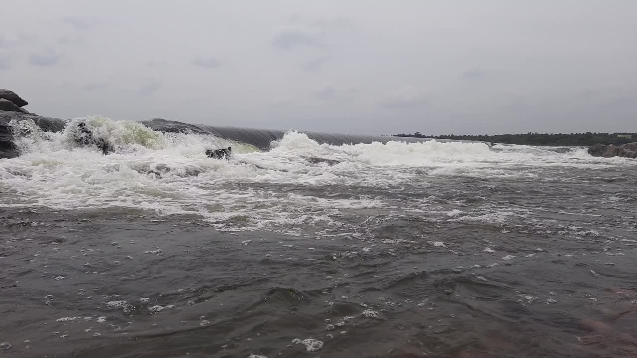 河流在原始森林中流动。视频素材