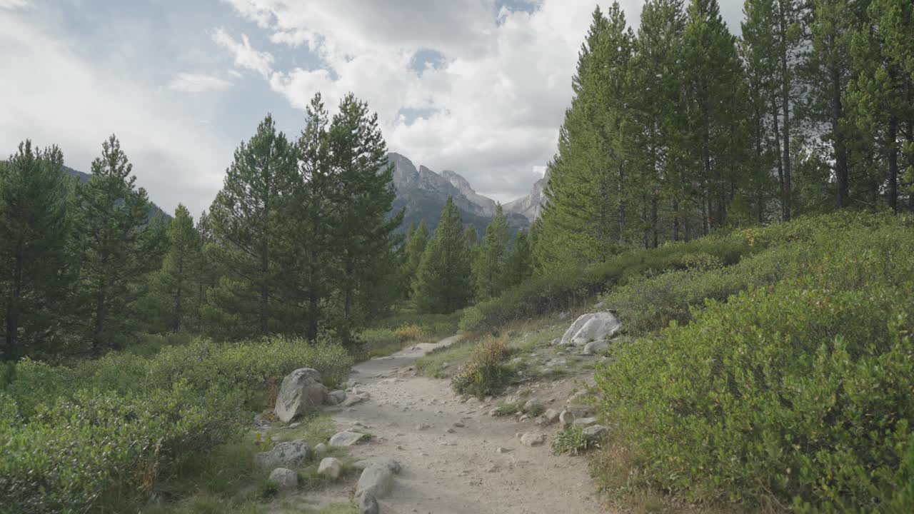 徒步旅行塔格特湖步道，美丽的树木和大提顿峰高耸的背景视频素材