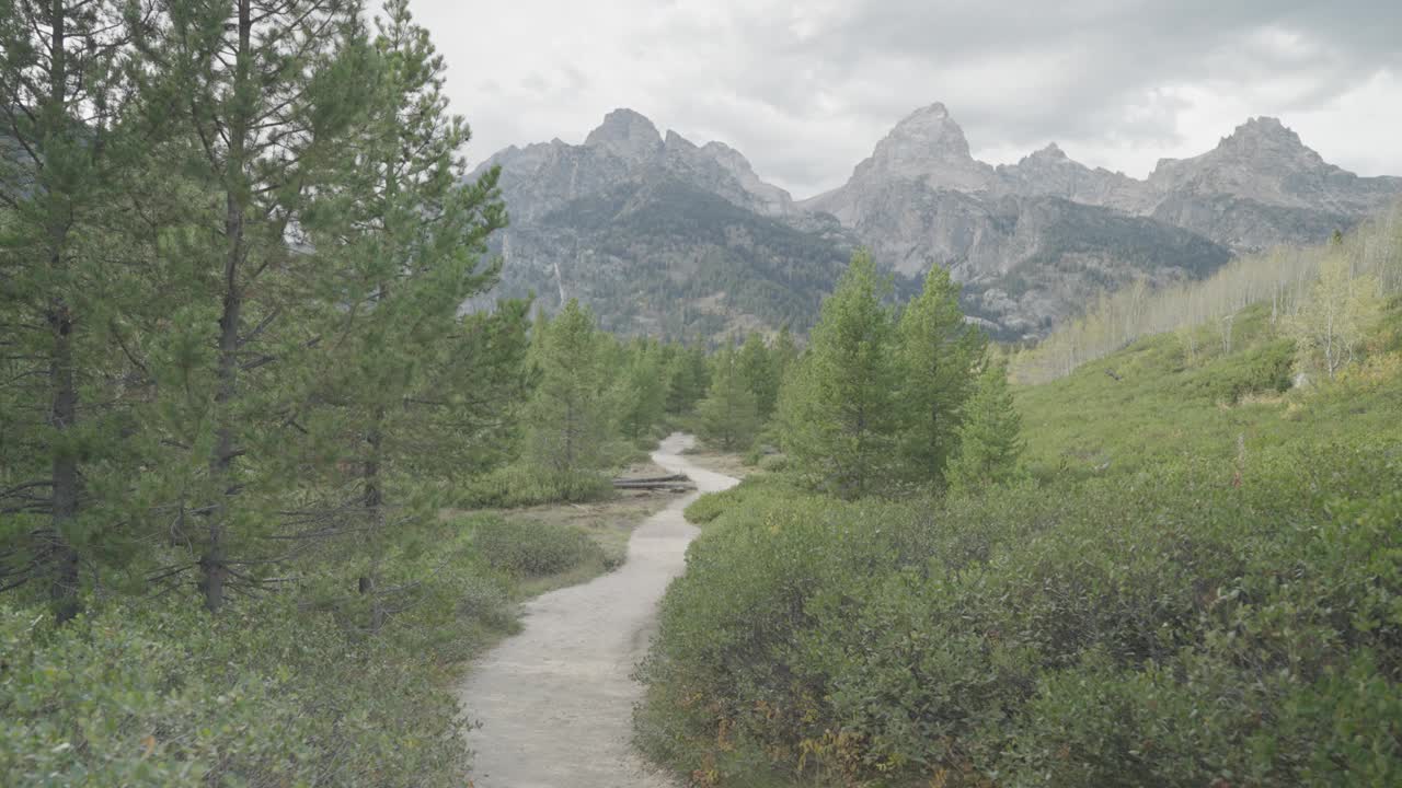 徒步旅行塔格特湖步道，美丽的树木和大提顿峰高耸的背景视频素材