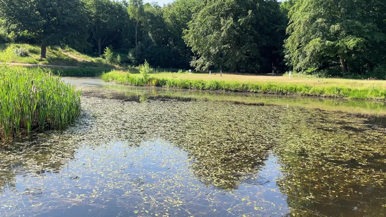 在一个阳光明媚的日子里，有池塘和秋天落叶的景观视频素材