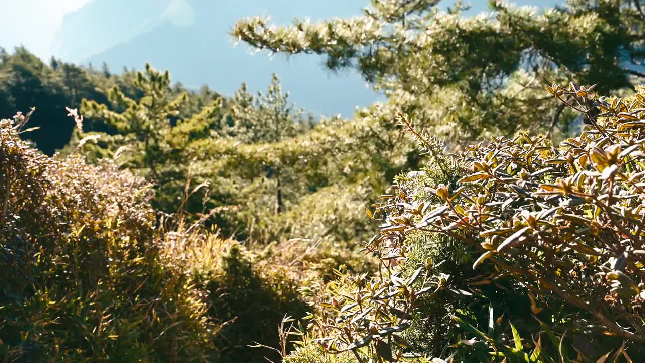 徒步旅行者独自走在山顶上。视频素材