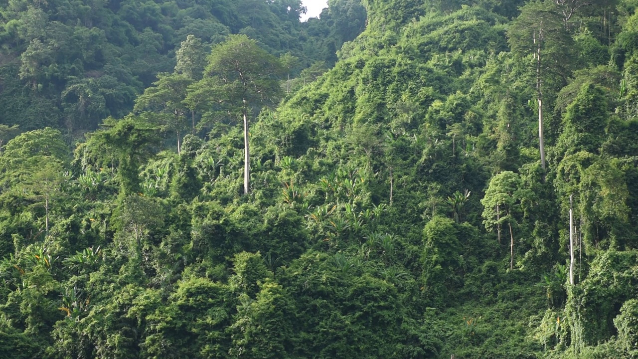 以山为背景的九龙巴生水库湖泊景观视频素材