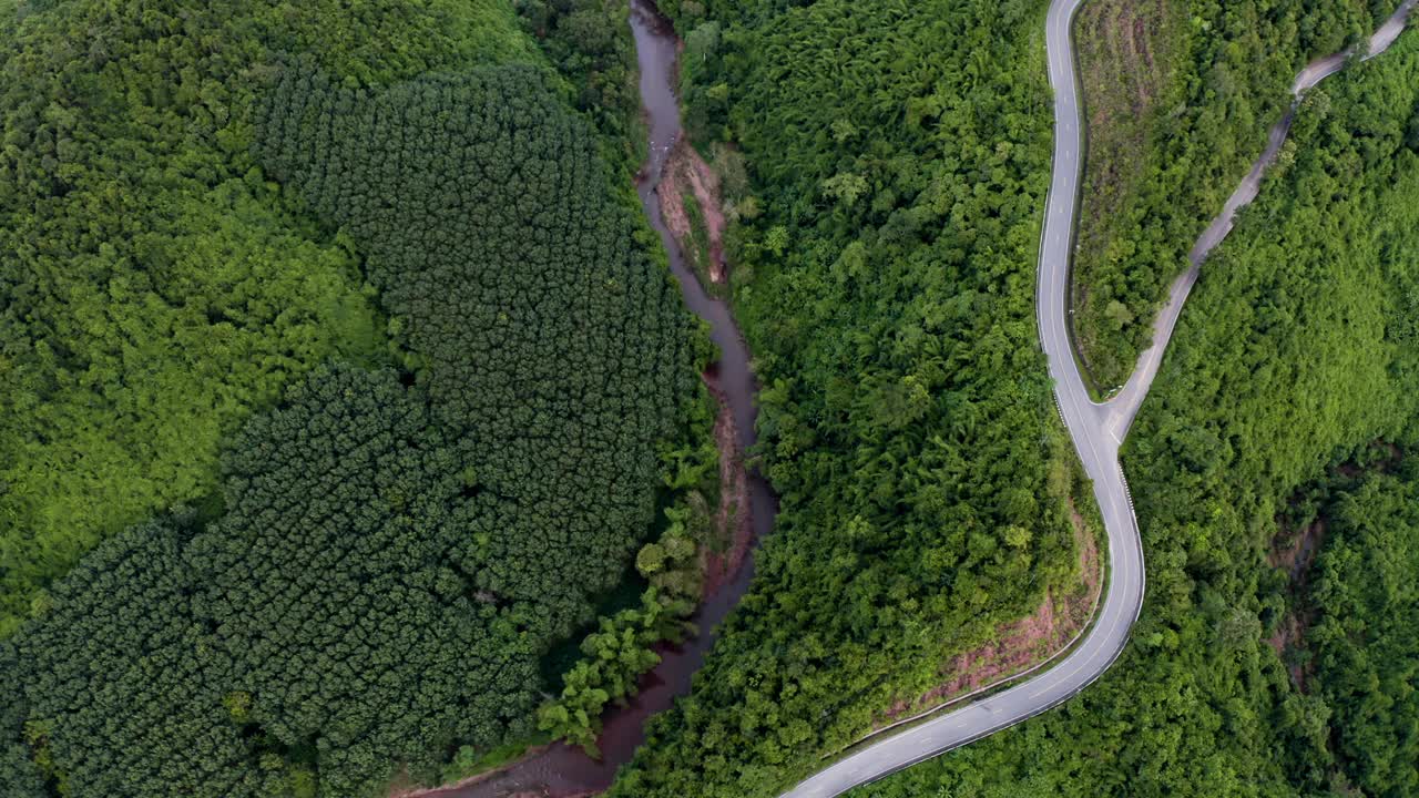 在森林景观之间的弯曲道路上的无人机视图视频素材