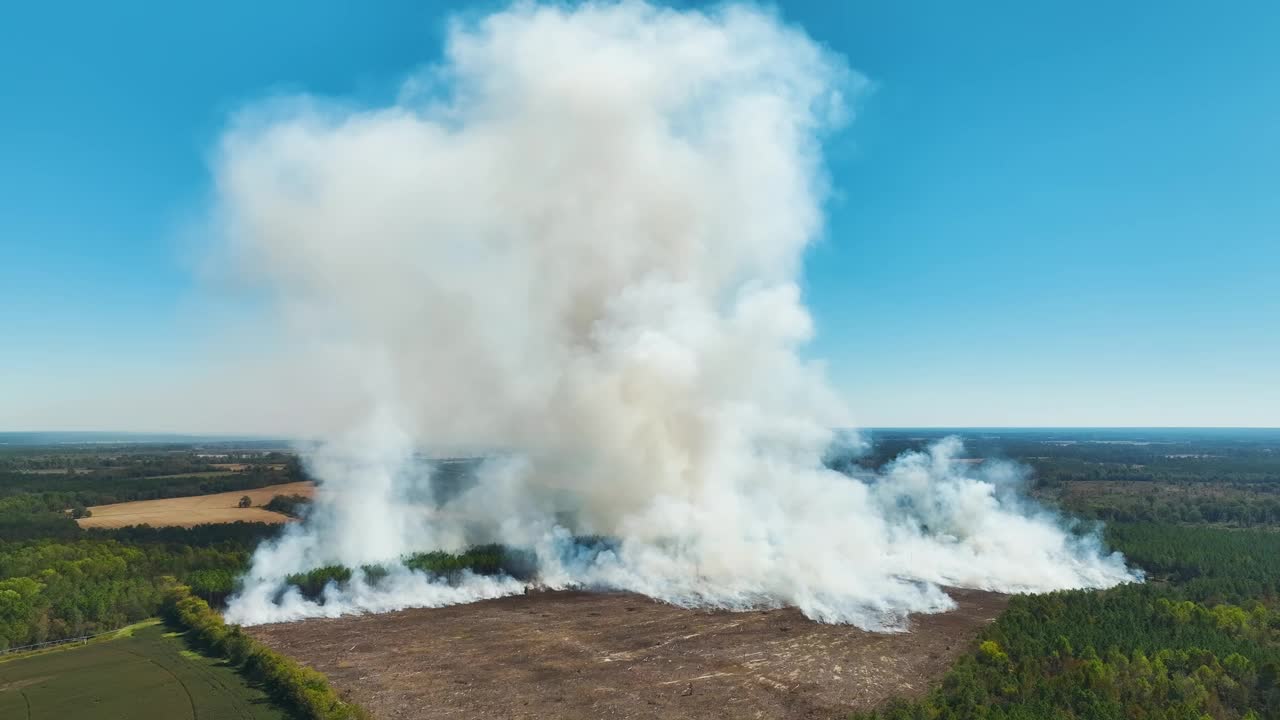 鸟瞰图:森林大火产生的白烟上升，污染了大气。自然灾害概念视频素材