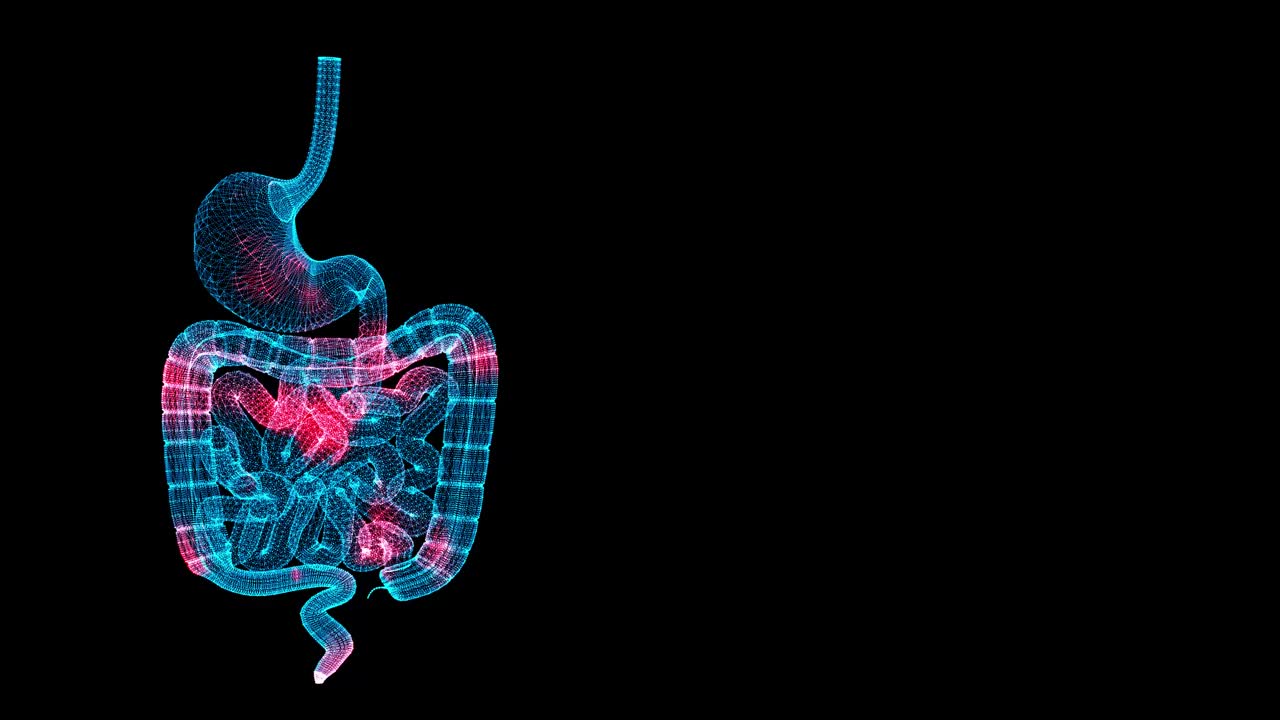 3D胃肠道扫描。器官扫描接口。HUD胃分析。体温和疼痛通过人体胃肠道传播。医学解剖学。3D动画60 FPS。视频素材