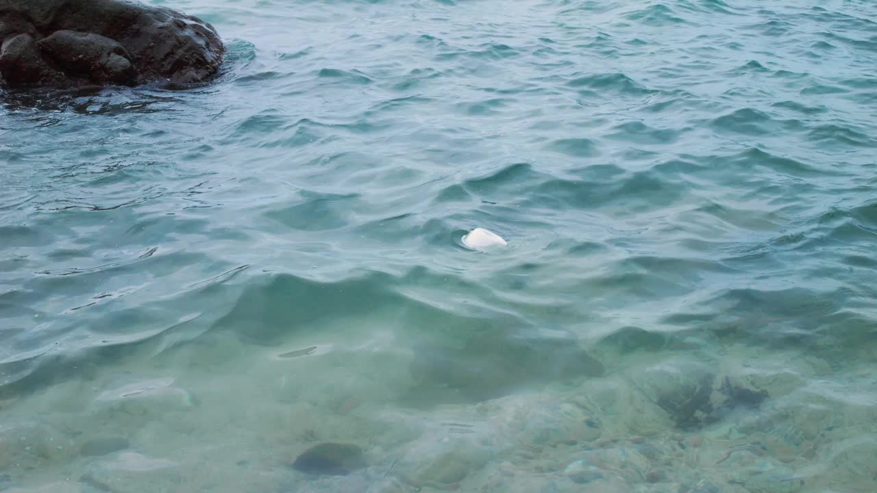 扔进海里的塑料板在波浪中漂浮。海洋污染问题需要更多的关注和更多的志愿者。环境需要有爱心的人，志愿者清理海洋中的塑料碎片视频素材