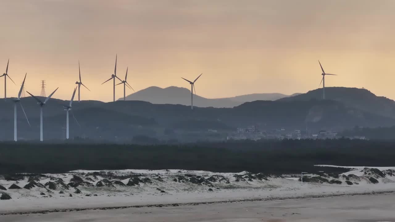 海滩防护林里的风电场视频素材