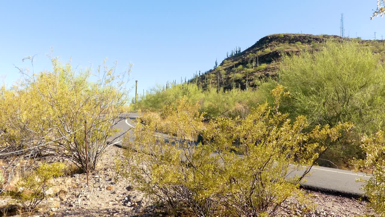 亚利桑那州图森沙漠沙漠中有仙人掌树的山丘和沙漠中的道路视频素材