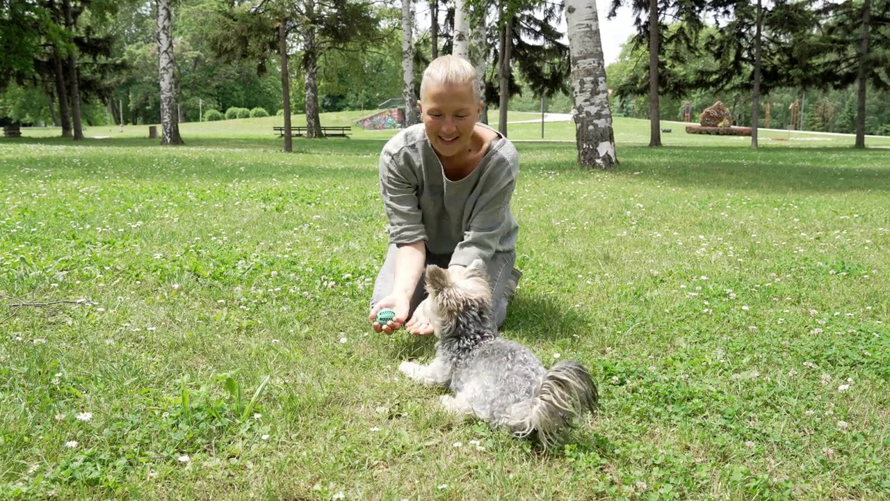 游戏时间到了!视频素材