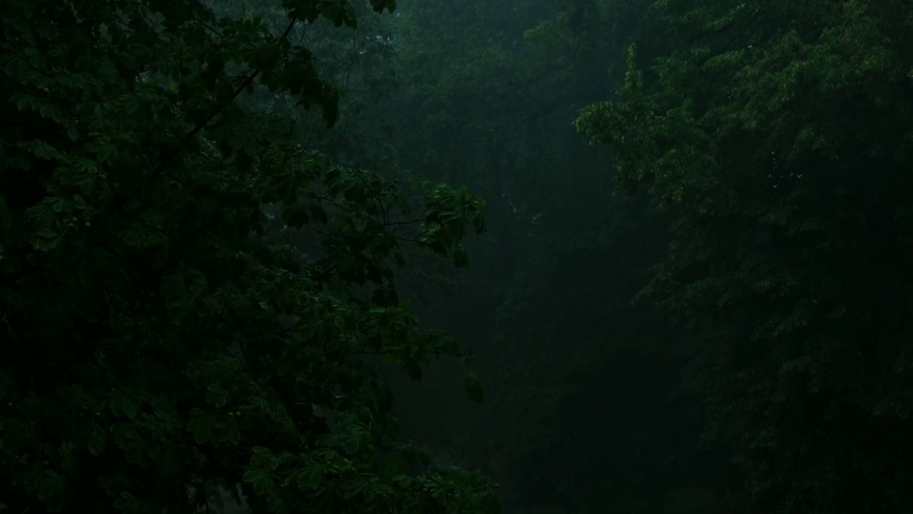 暴雨倾盆，夏季雷暴。绿色的树作为背景。多风多雨的天气，近距离拍摄带有散景的暗夜镜头。季节热带雨林风暴视频素材