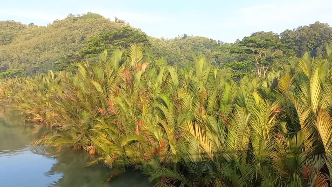 全景湖与山和黄棕榈树。视频下载