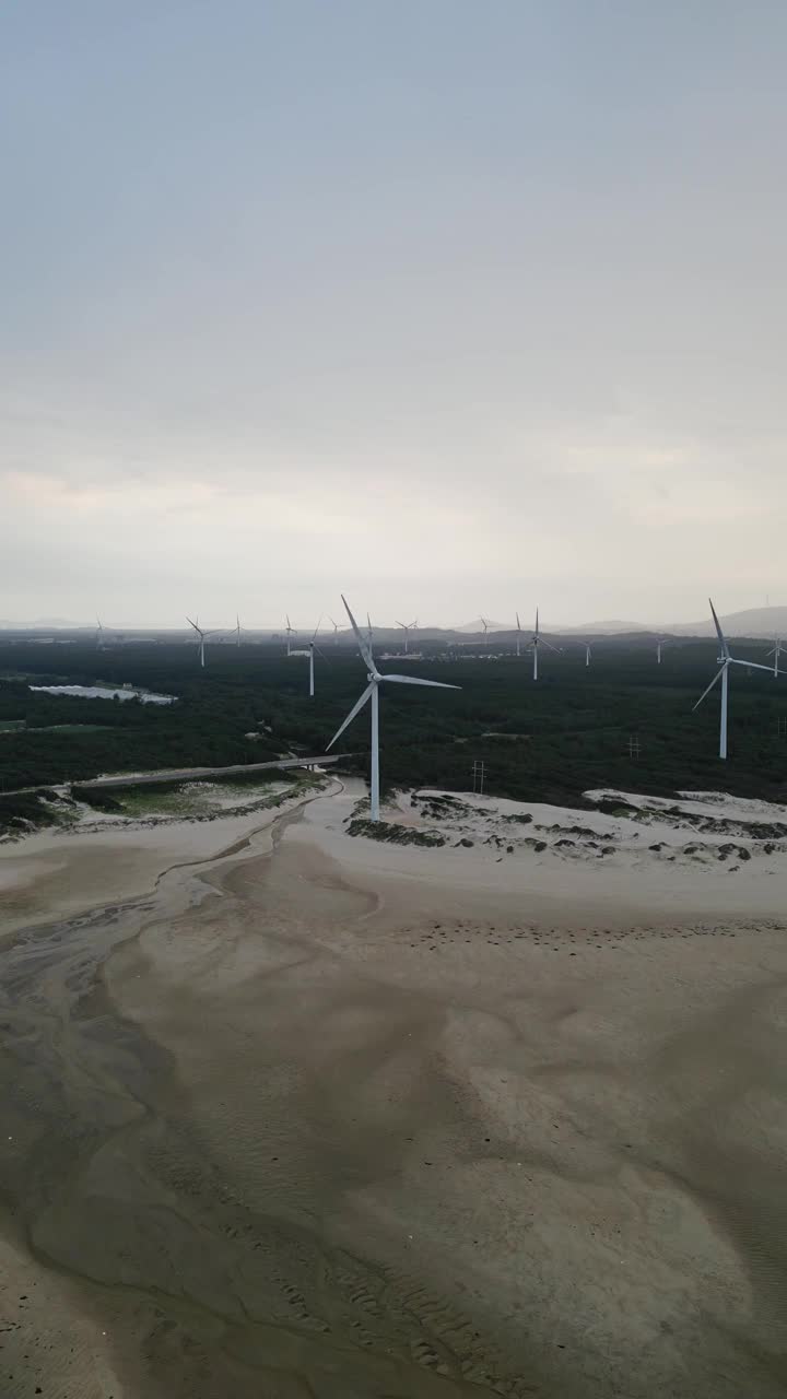 海滩上风力发电场的鸟瞰图视频素材