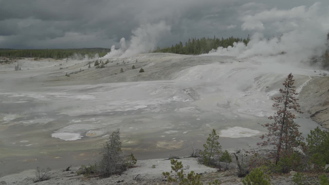 位于怀俄明州超级火山黄石国家公园的诺里斯间歇泉盆地视频素材