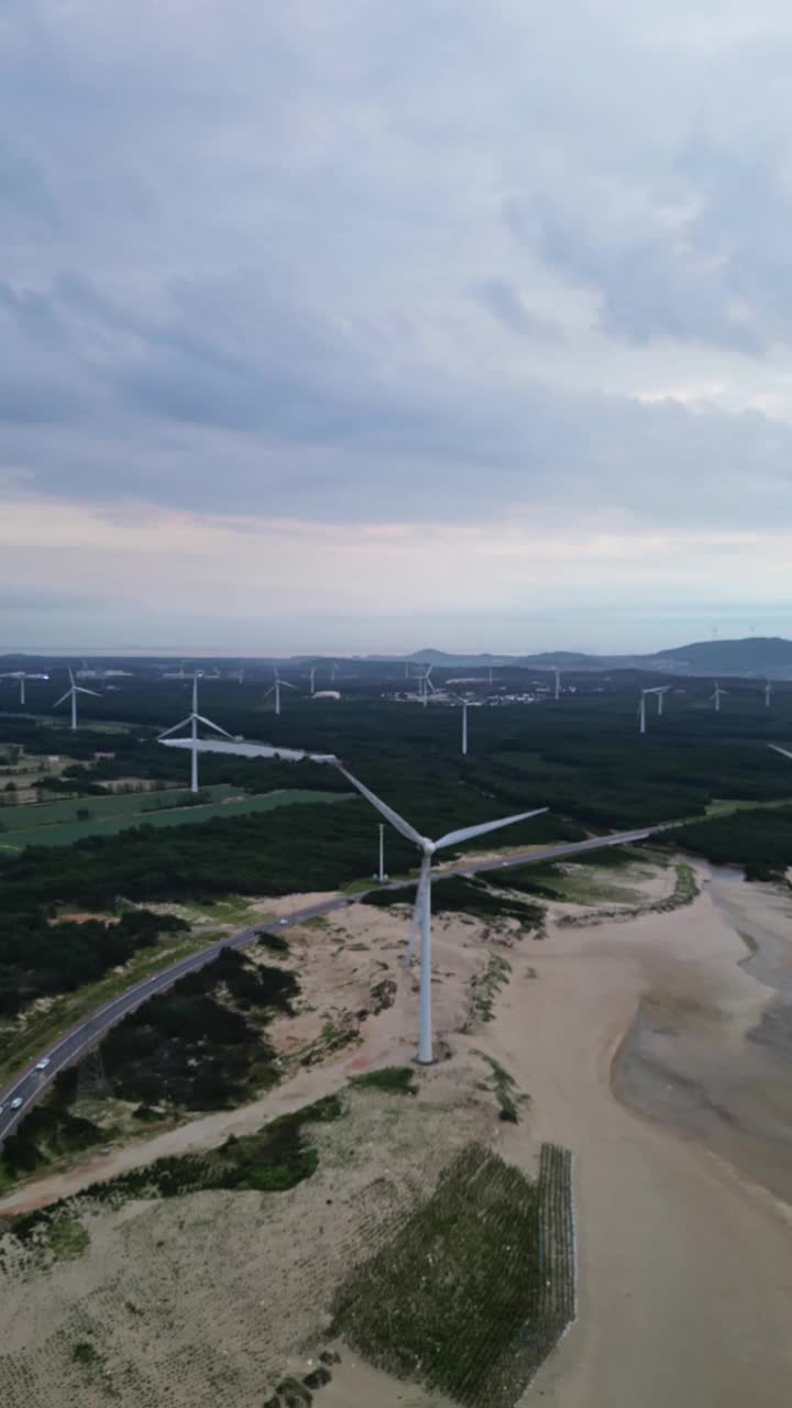 海滩上风力发电场的鸟瞰图视频素材