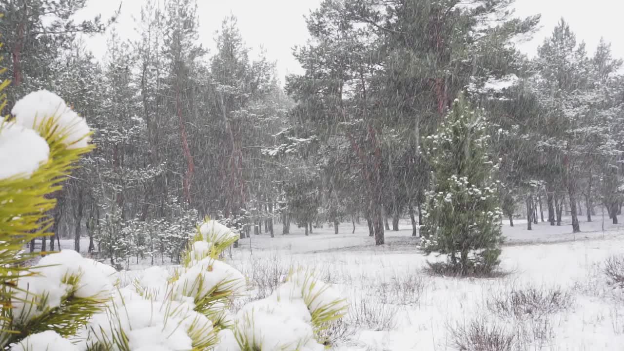 降雪视频素材