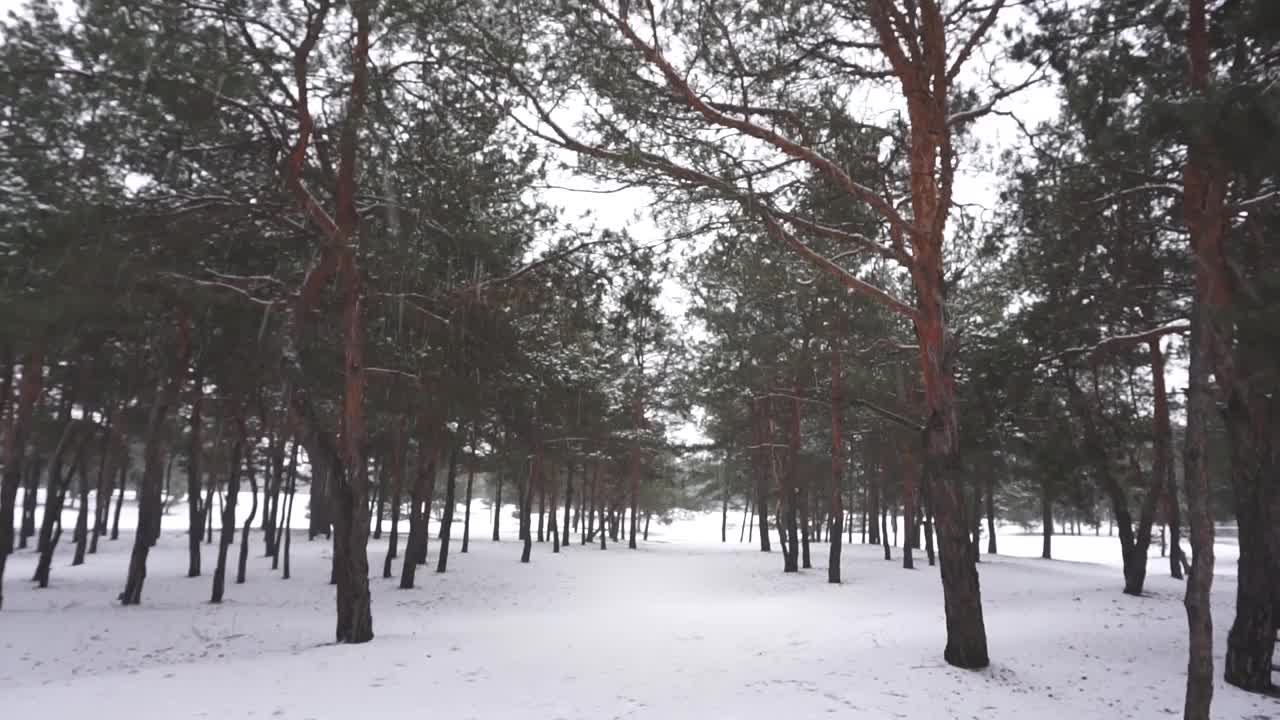 降雪视频素材