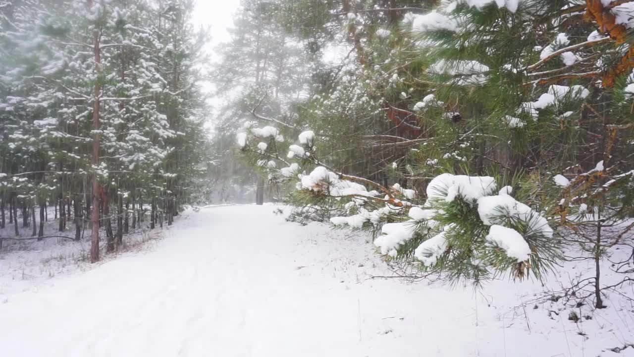 降雪视频素材