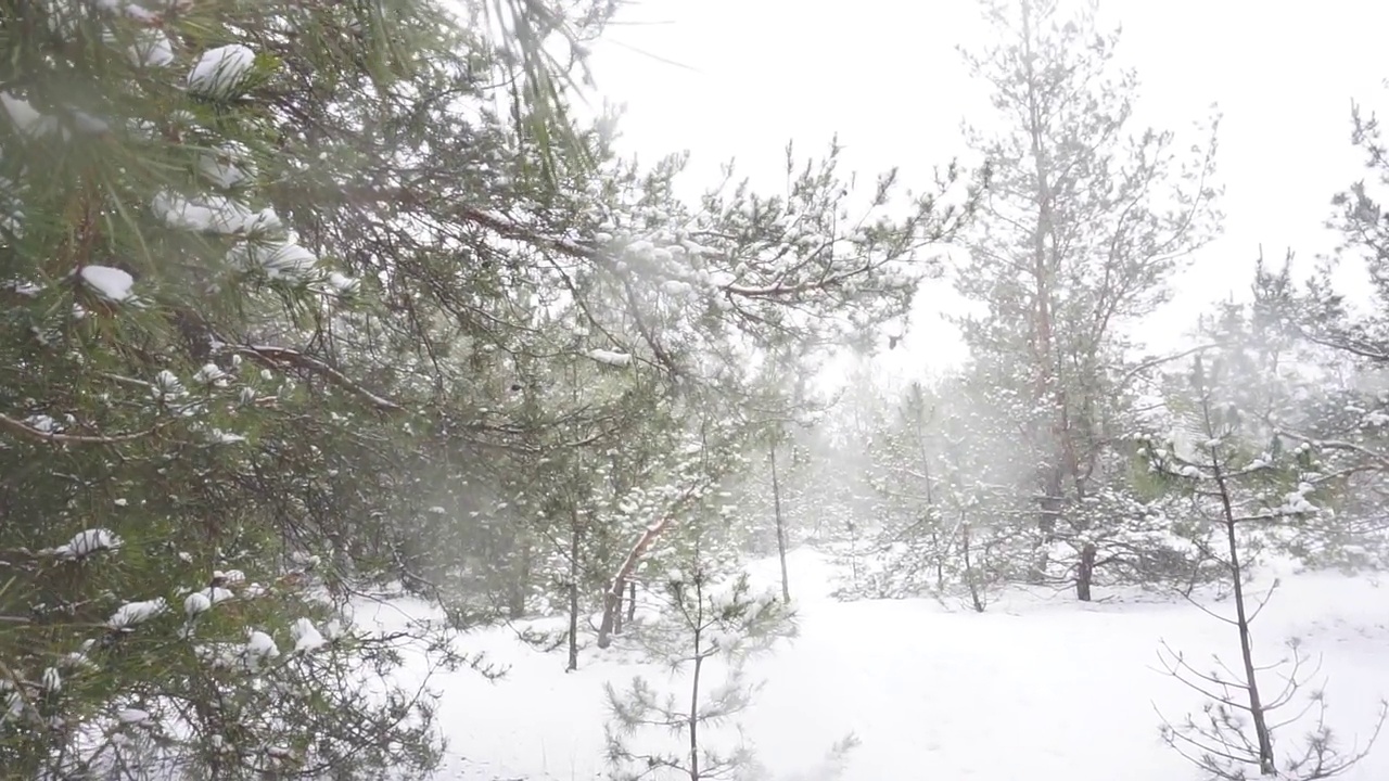 降雪视频素材