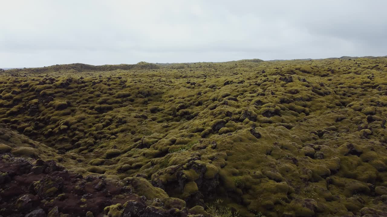 冰岛的火山绿地视频素材