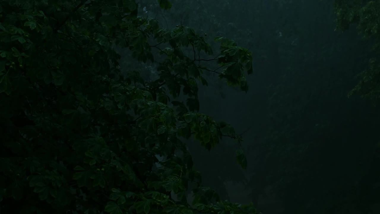 暴雨倾盆，夏季雷暴。绿色的树作为背景。多风多雨的天气，近距离拍摄带有散景的暗夜镜头。季节热带雨林风暴视频素材