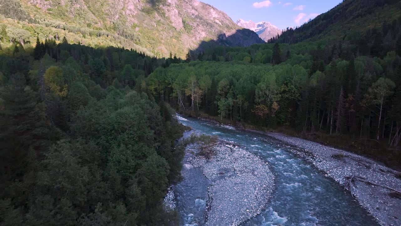 从空中俯瞰山谷中被针叶林包围的浅山河视频素材