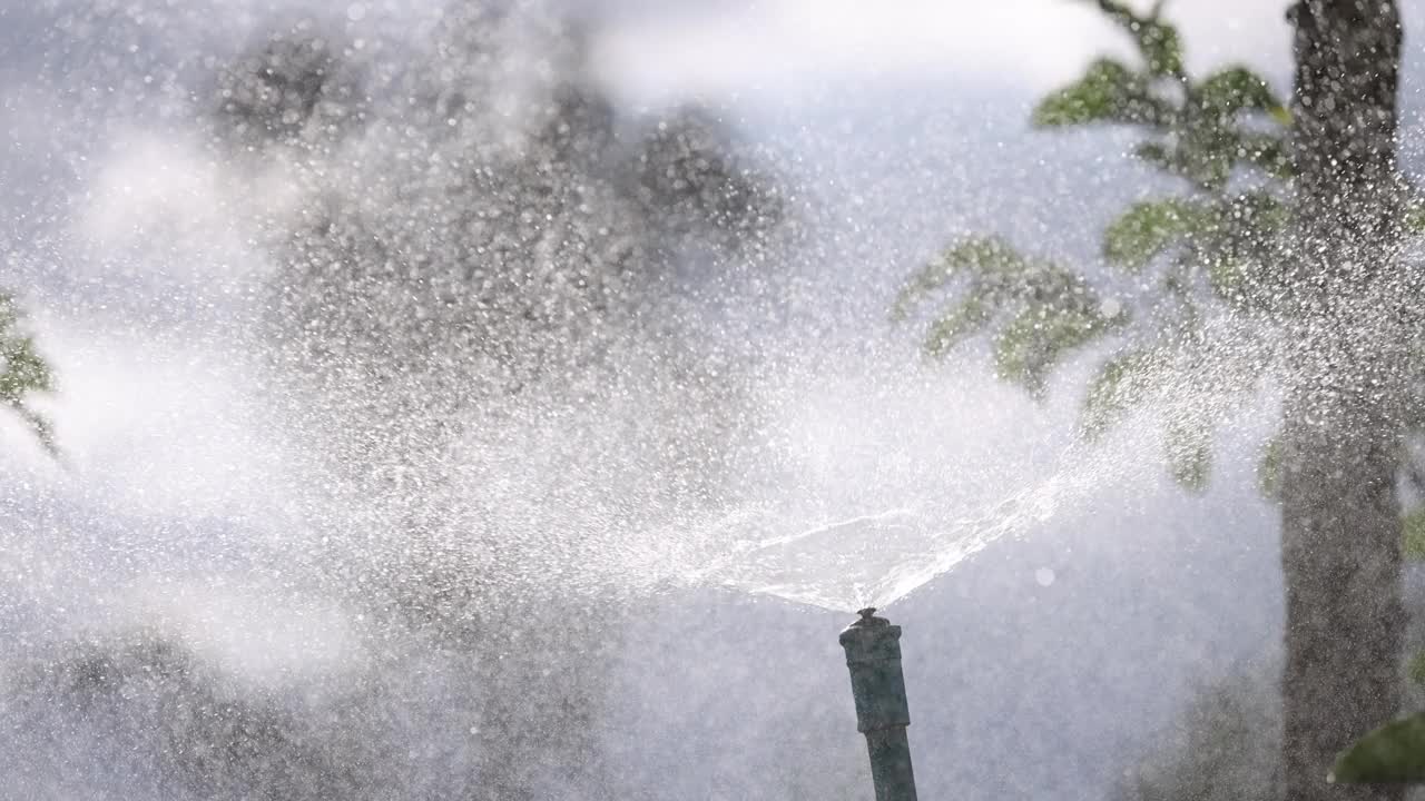 施普林格浇水植物视频素材