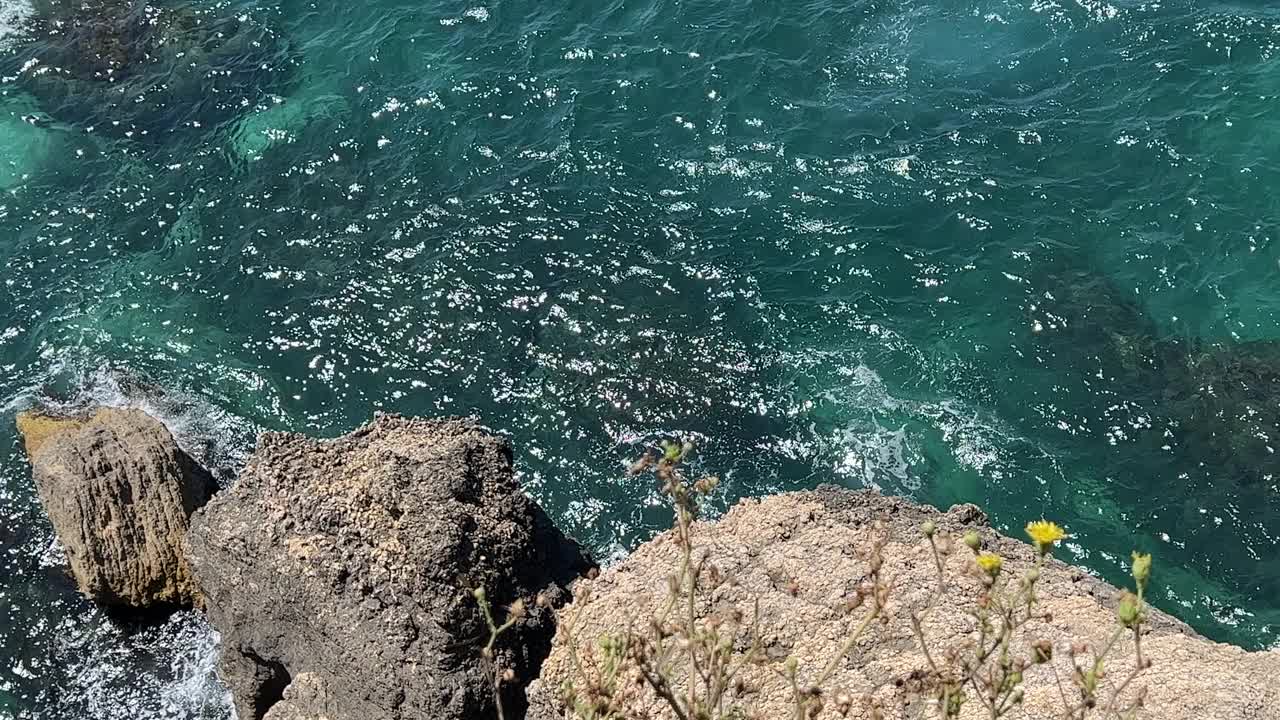 碧蓝的海浪和盛开着野花的海岸岩石。视频素材