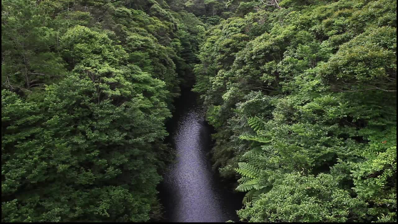 延巴鲁河视频下载