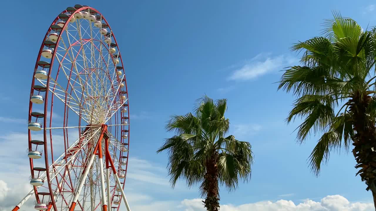 巴统复古摩天轮全景与棕榈树在阳光明媚的日子在格鲁吉亚。高加索著名的旅游胜地视频素材