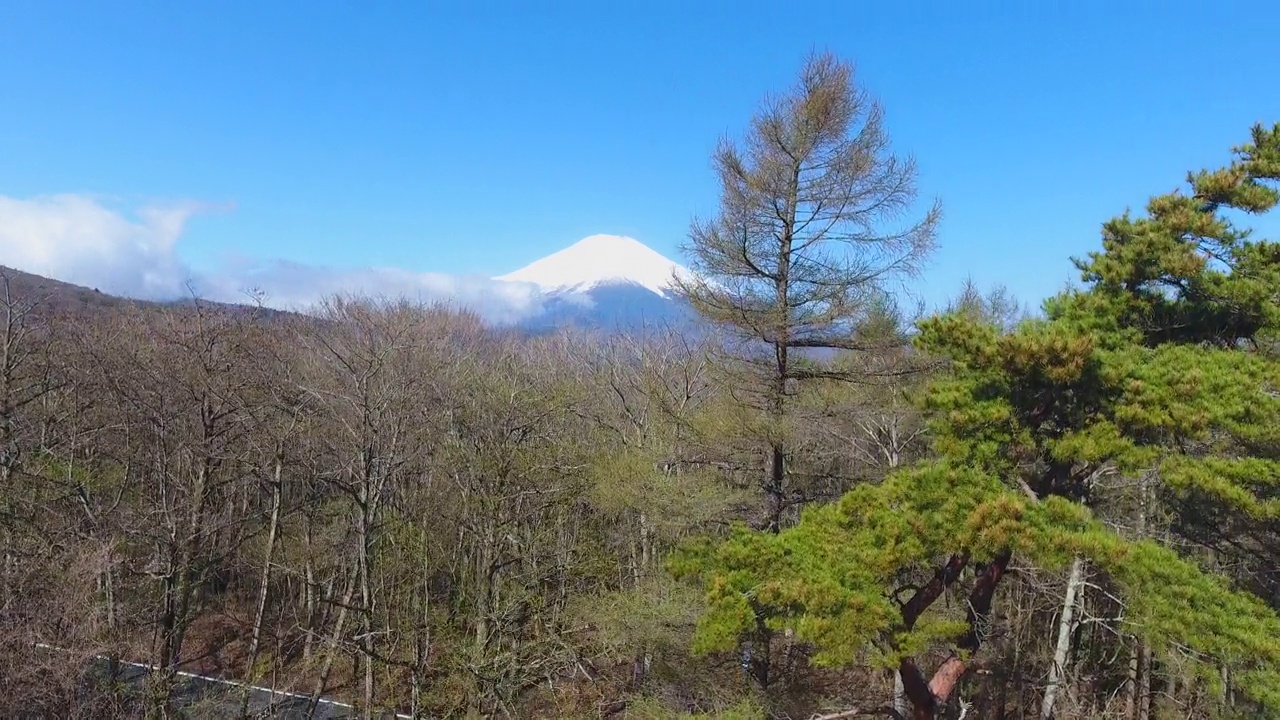 日本川口湖富士山的无人机鸟瞰图视频素材