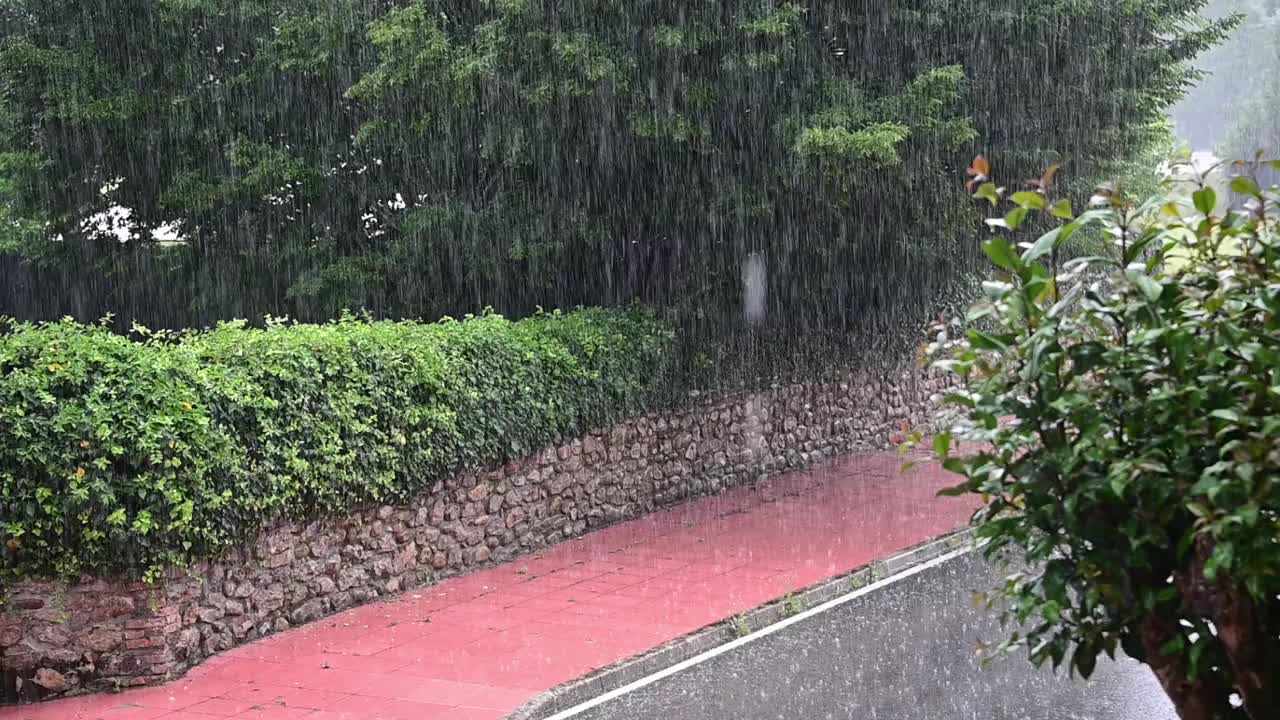 雨落视频素材