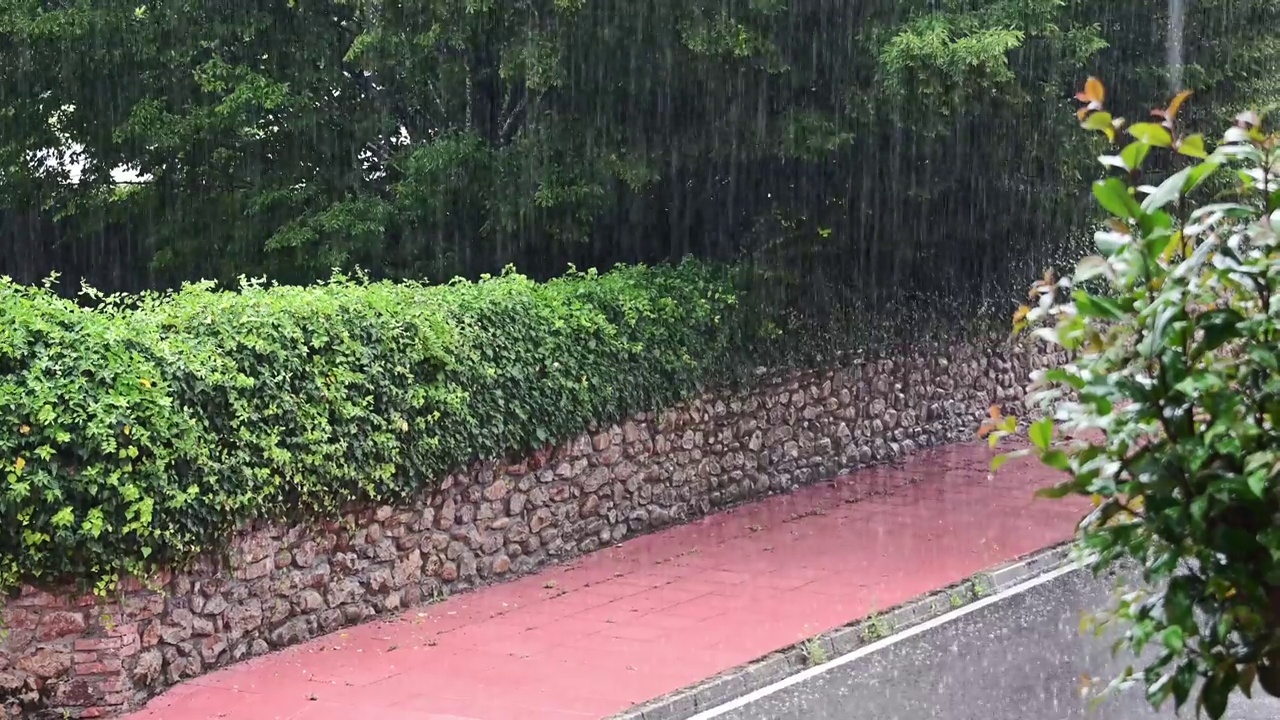 雨落视频素材