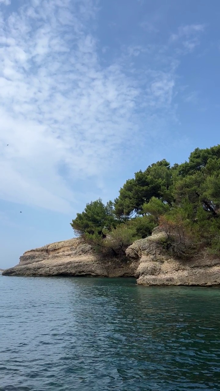 海海岸杂草丛生的松海岸在夏季黑山。视频素材